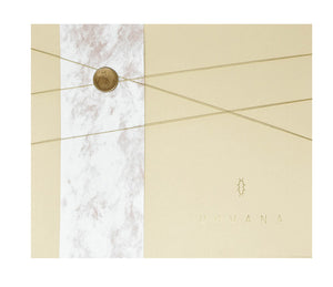 Caja Beige
